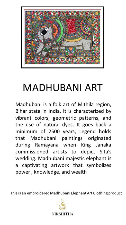 Unisex Shirt Blue Chanderi Silk - Madhubani Fish Embroidery